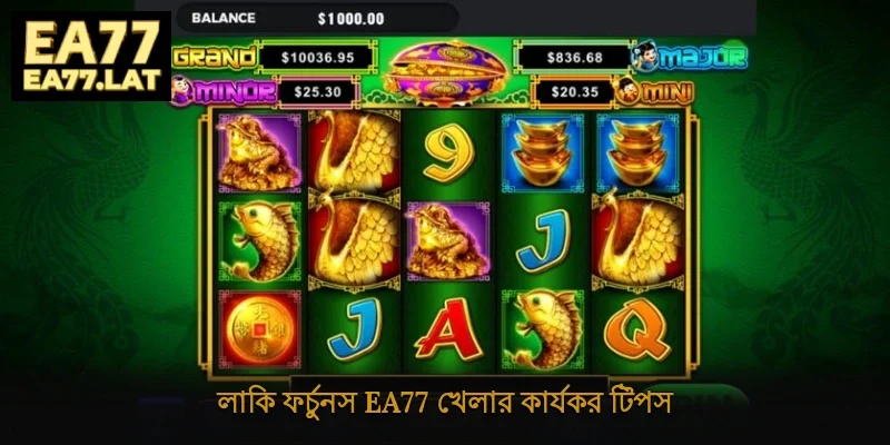 লাকি ফর্চুনস Ea77 খেলার কার্যকর টিপস