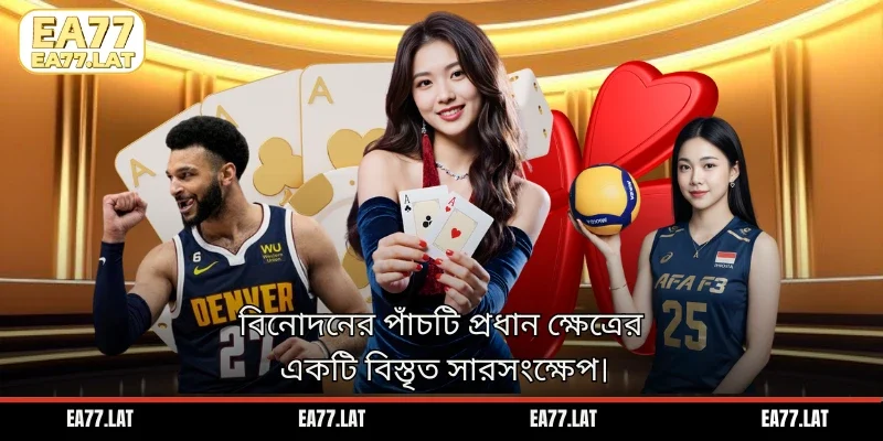 বিনোদনের পাঁচটি প্রধান ক্ষেত্রের একটি বিস্তৃত সারসংক্ষেপ।